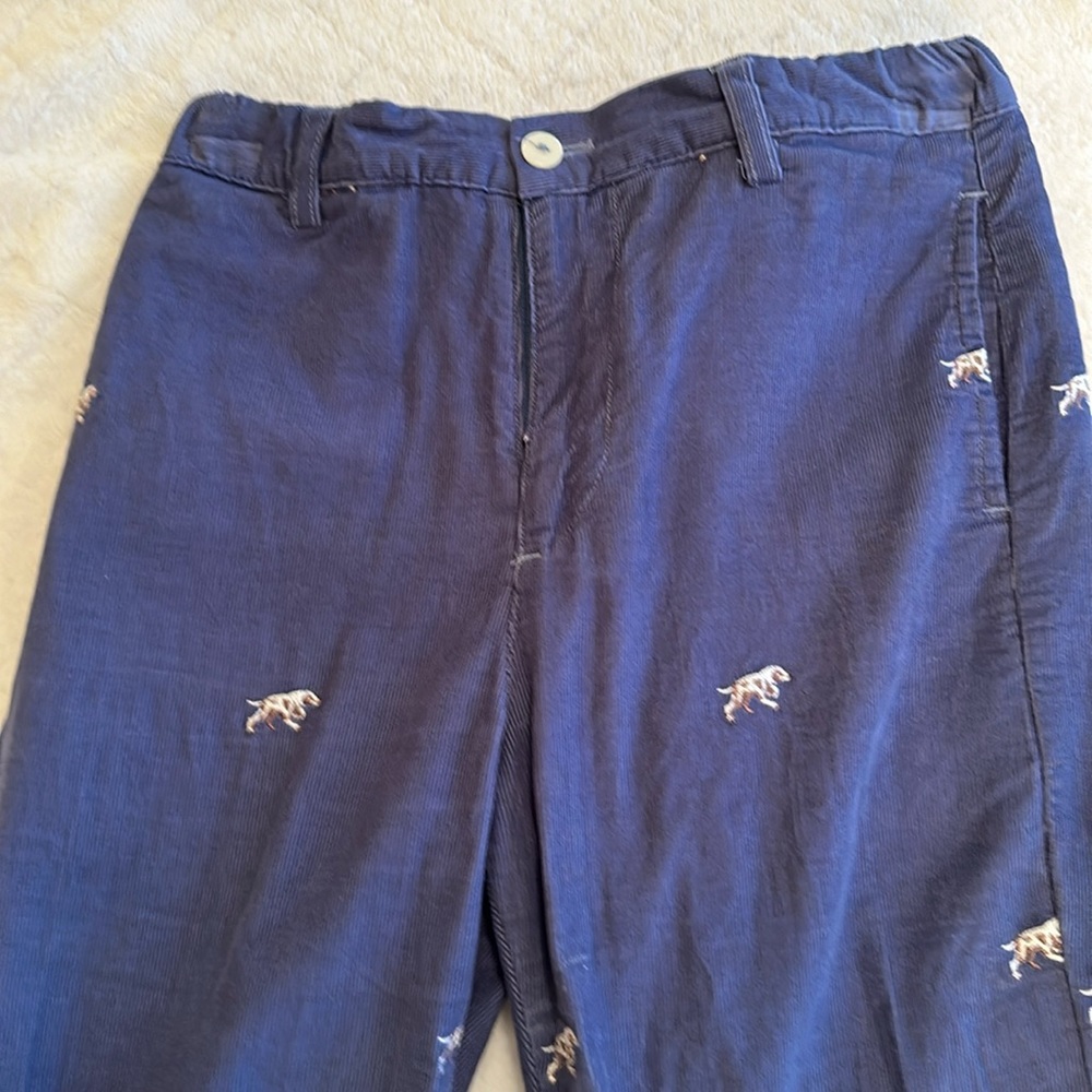 Boys Cords Pointer Dogs Size 8